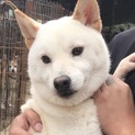 ♂418 里親募集です！