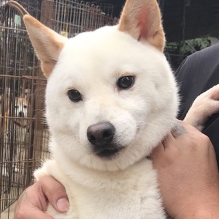 ♂418 里親募集です！