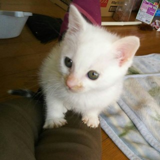 525g  ゴロゴロのマーくん♪ 男の子