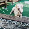 ふせ！からのー。