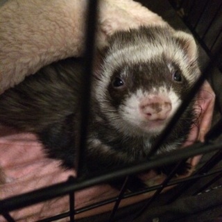 沢山のご応募ありがとうございます✳︎