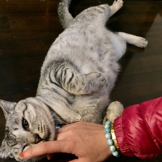 おっとりぽってりグーちゃん