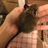 ステキなおうちがみつかりました♡ サムネイル2
