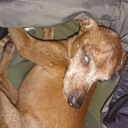 除夜の鐘にはちと早い！