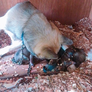 とても温かいご家族様に決定致しました！