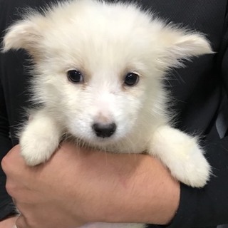 ♂450 里親募集です！