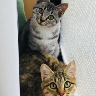 甘えたな姉妹です♡