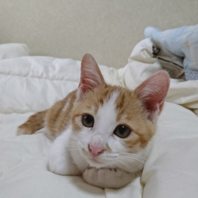 teru5946のカバー写真