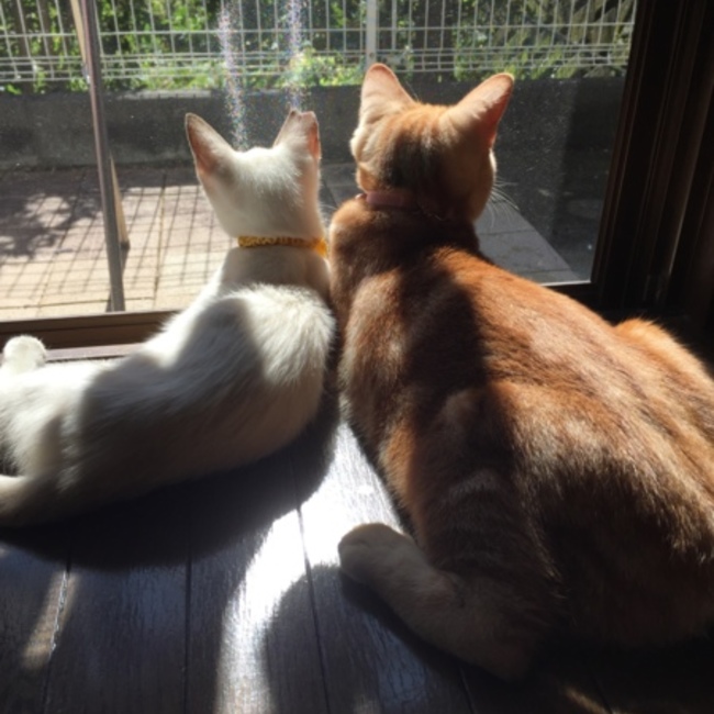 なおなお311のカバー写真