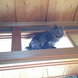 頑張れこてこ！！！！(｀；ω；´)