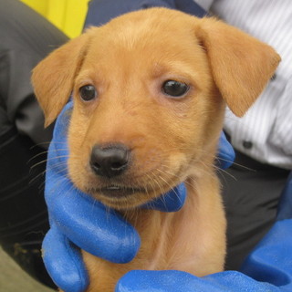 譲渡されました！！