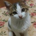 くりくりおめめの甘えん坊