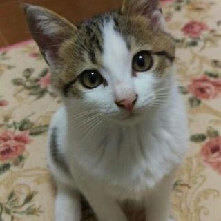 くりくりおめめの甘えん坊