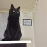 の写真