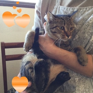 花の名前の4姉妹♡かすみちゃん♪