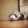 みゅう