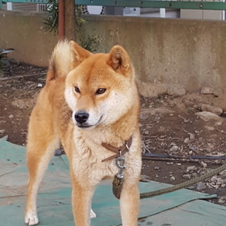 ありがとうございました。