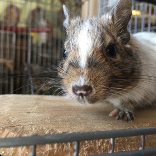 ありがとうございました！