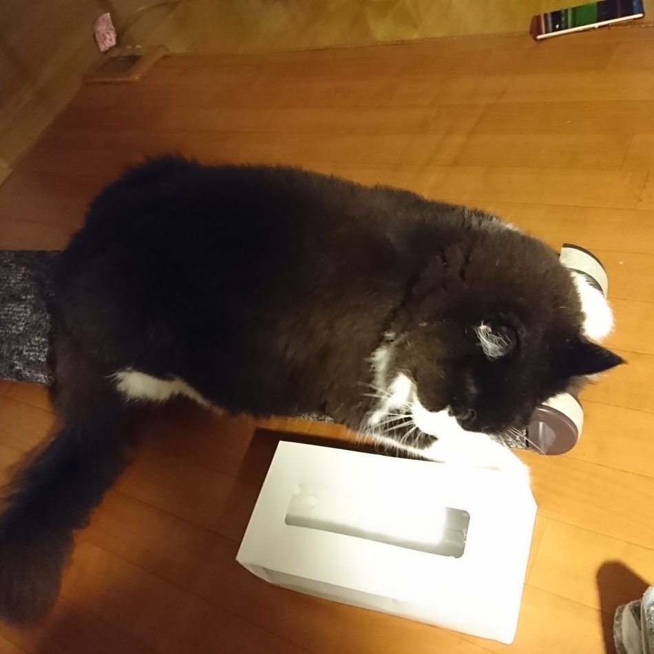 ファンタのカバー写真