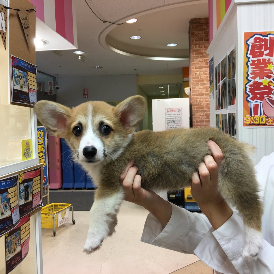ここのカバー写真