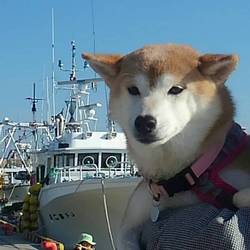 海沿いにて゜゜O｀°゜゜゜O｀°゜