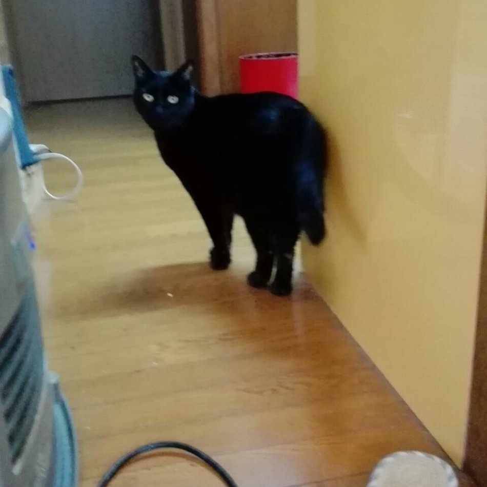 ぐりんぐりんのカバー写真