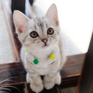 チームOIMO　「たろ」と濃厚もっちりライフ♪