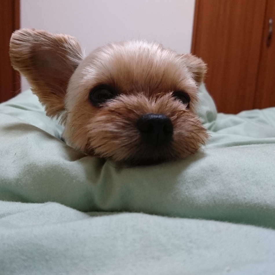 そらのカバー写真