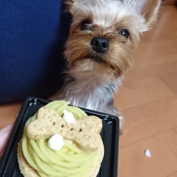 「無事お誕生日を迎えました」サムネイル1