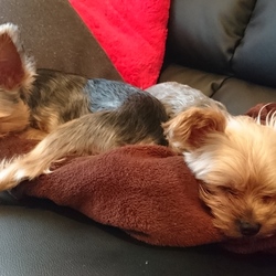 「無事お誕生日を迎えました」サムネイル2