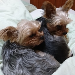 「無事お誕生日を迎えました」サムネイル3