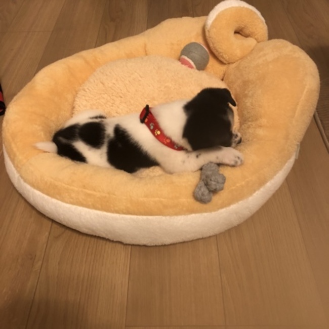 ゆう＆ちかえのカバー写真