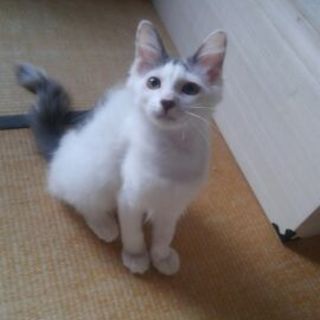 生後3ヶ月☆気高きねむりん