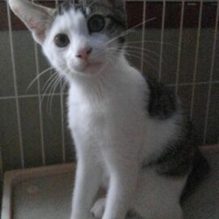 生後3ヶ月☆強運の持ち主かいとん