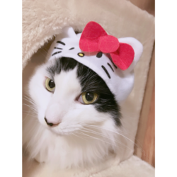 「かぶりものシリーズ」サムネイル2