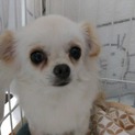 里親さん、決定しました。ありがとうございます！
