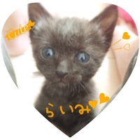 らいみ