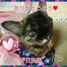  ばなな さん