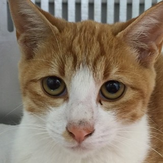 収容期限を迎えます。