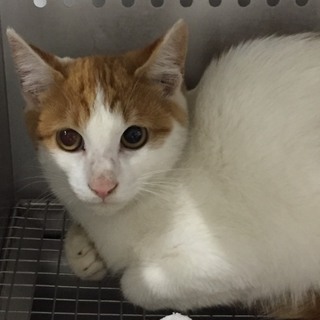 収容期限を迎えます。