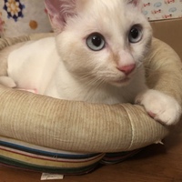 ちぃー