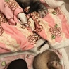 テラペコ