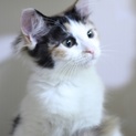ふんわり柔らかな抱き心地、可愛いいずみちゃん！