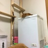 追いかけて来るなよ〜