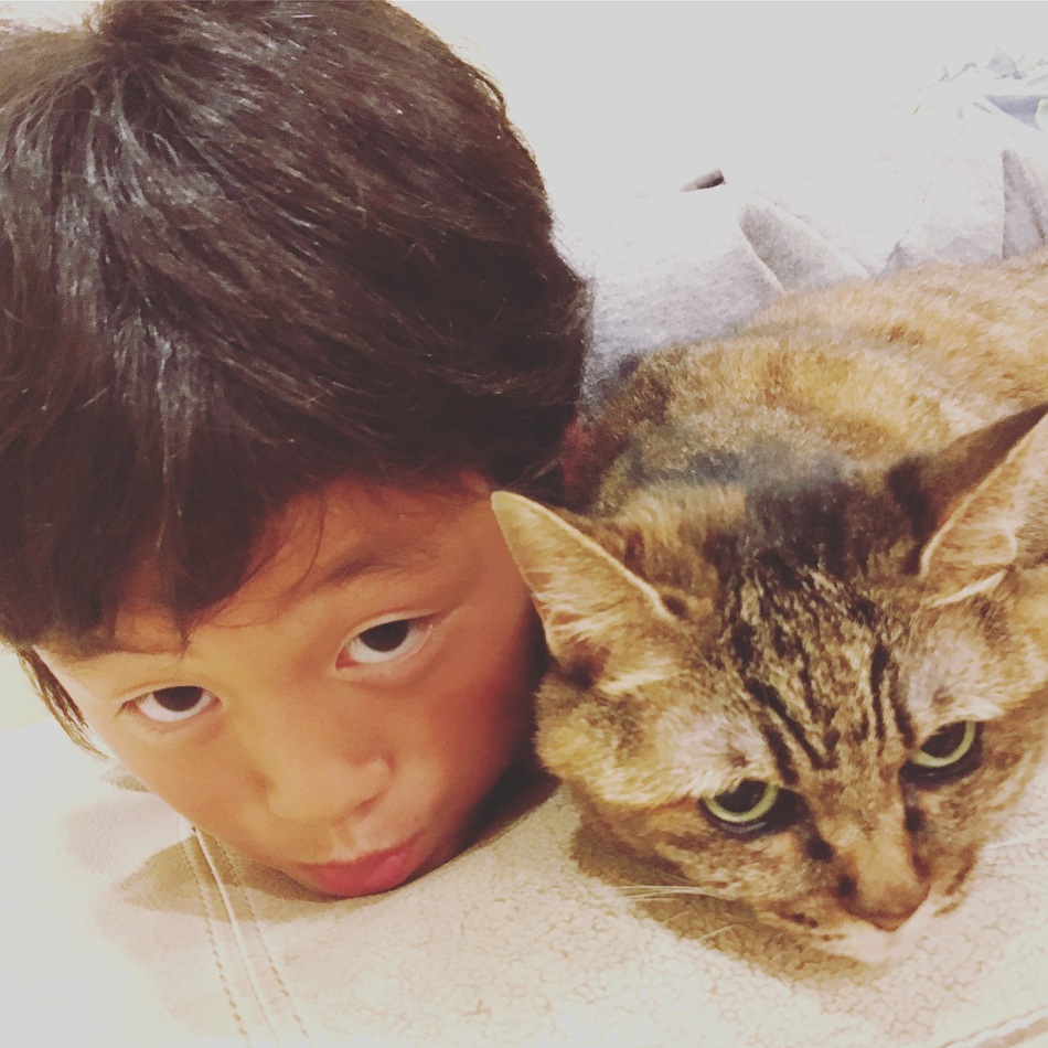 チョコのカバー写真
