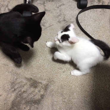 お姉ちゃんと初めて遊んだ日