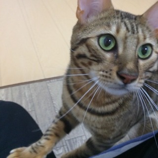 ありがとうございました