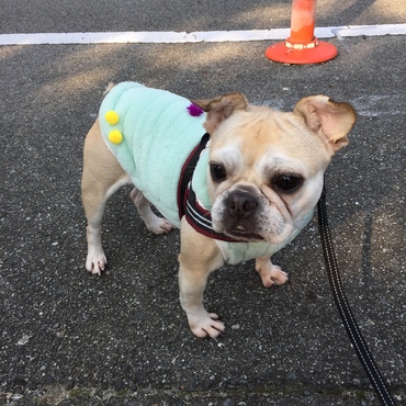 ドヤ顔でポーズ