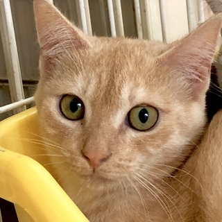 管理番号：OS−475