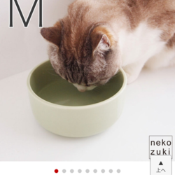 「番外編～ツナ～」サムネイル3